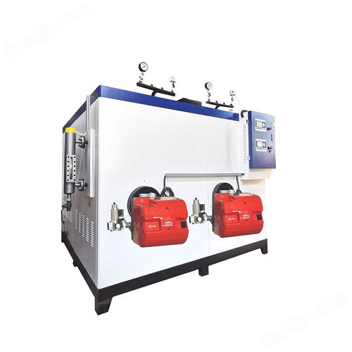 高效节能的食品发酵加热方案 500kg燃气蒸汽发生器与加药泵的协同应用