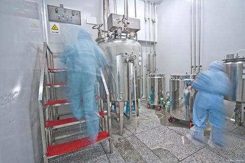 辽宁乐金建设 宁安市食品工厂净化装修中加药泵的关键作用与技术要点