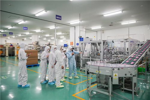 格力高入华三十周年首启工厂开放日 智能制造与绿色生产共筑健康未来暗流场案例解析——加药泵的精密化与可持续性挑战